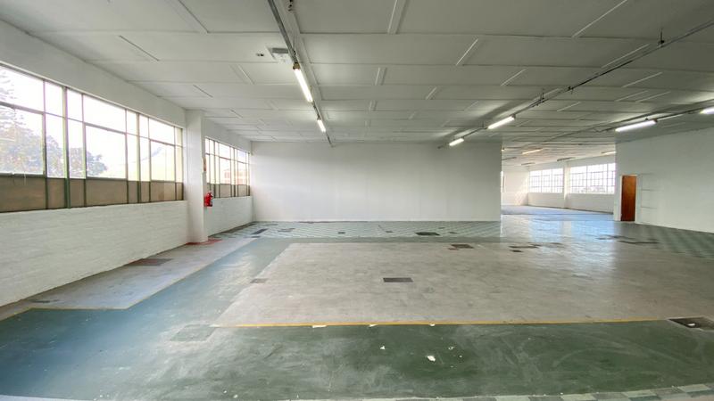 To Let commercial Property for Rent in Maitland Western Cape